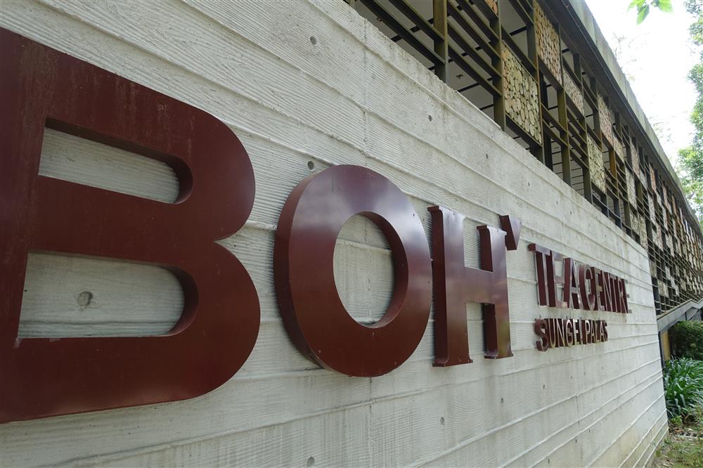 Boh Tea Factory