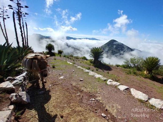 Real de Catorce