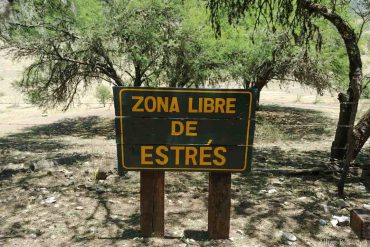 Armadillo de los Infante EcoPark